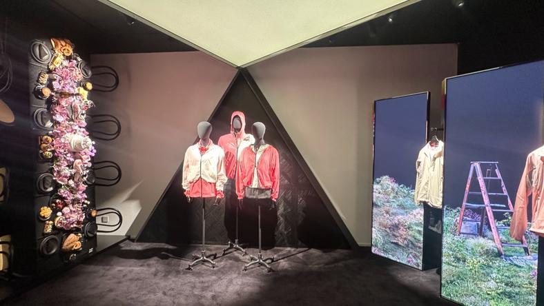 萨洛蒙正在接棒始祖鸟